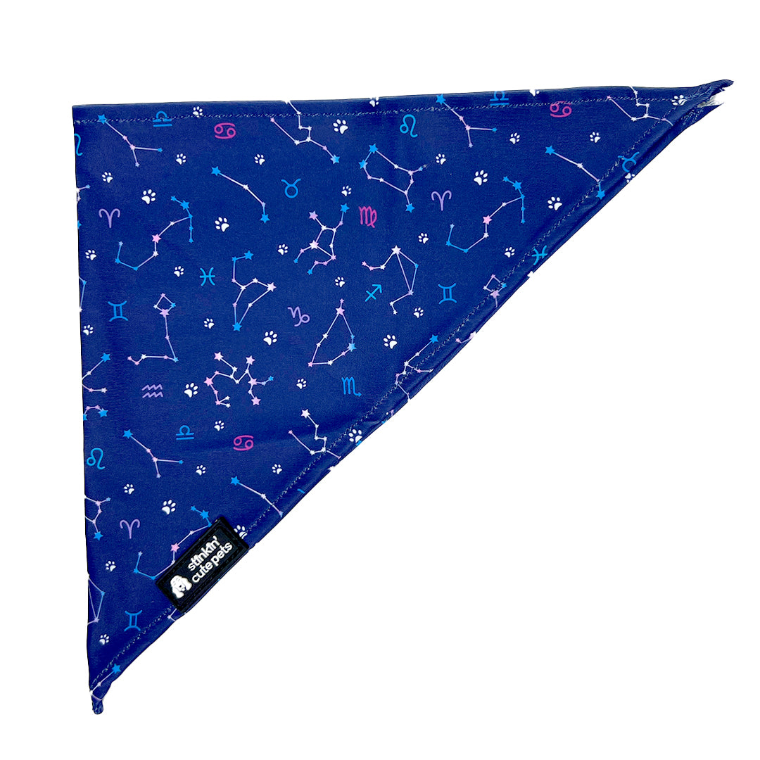 Pawstrology Bandana