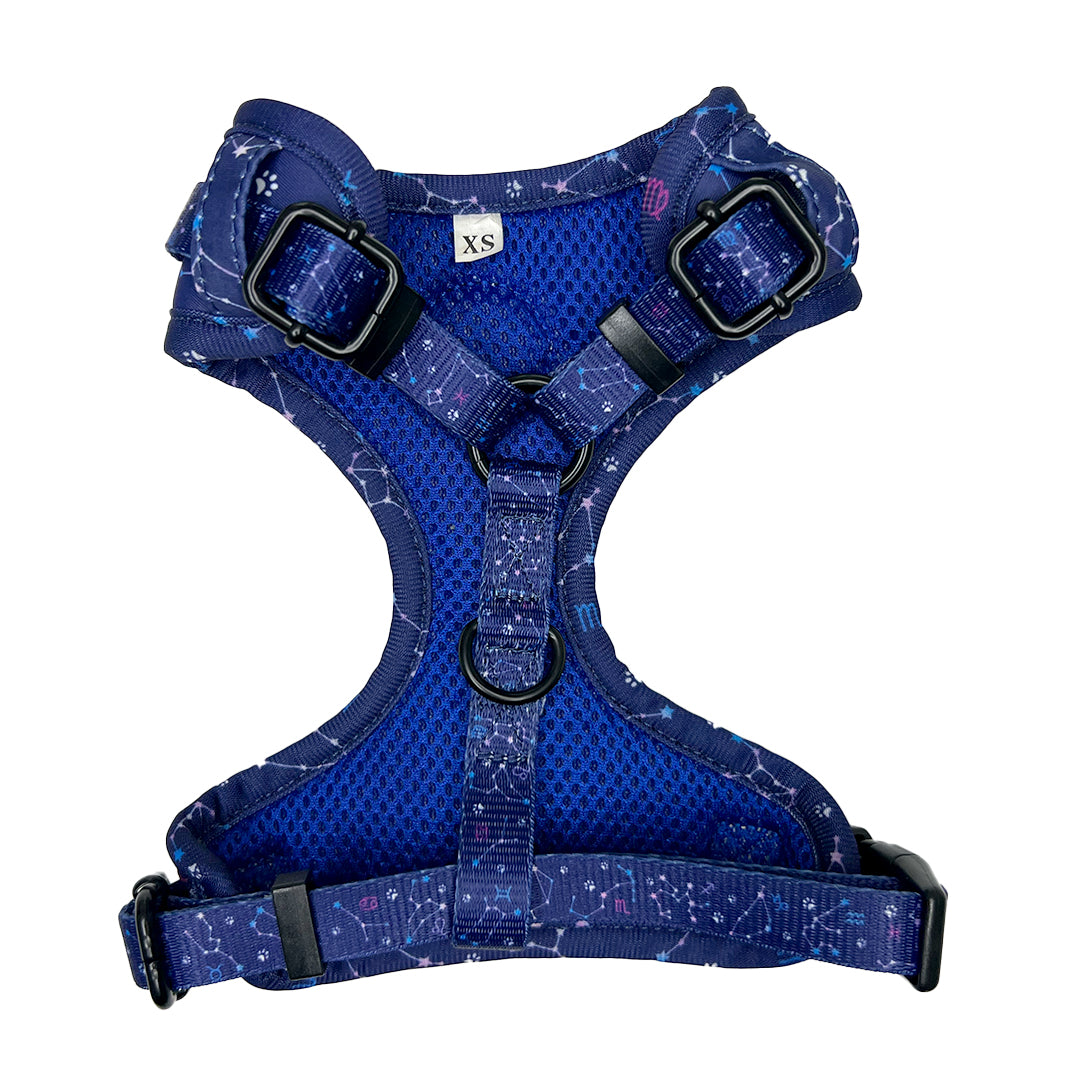 Pawstrology Eejit Harness (Adjustable)