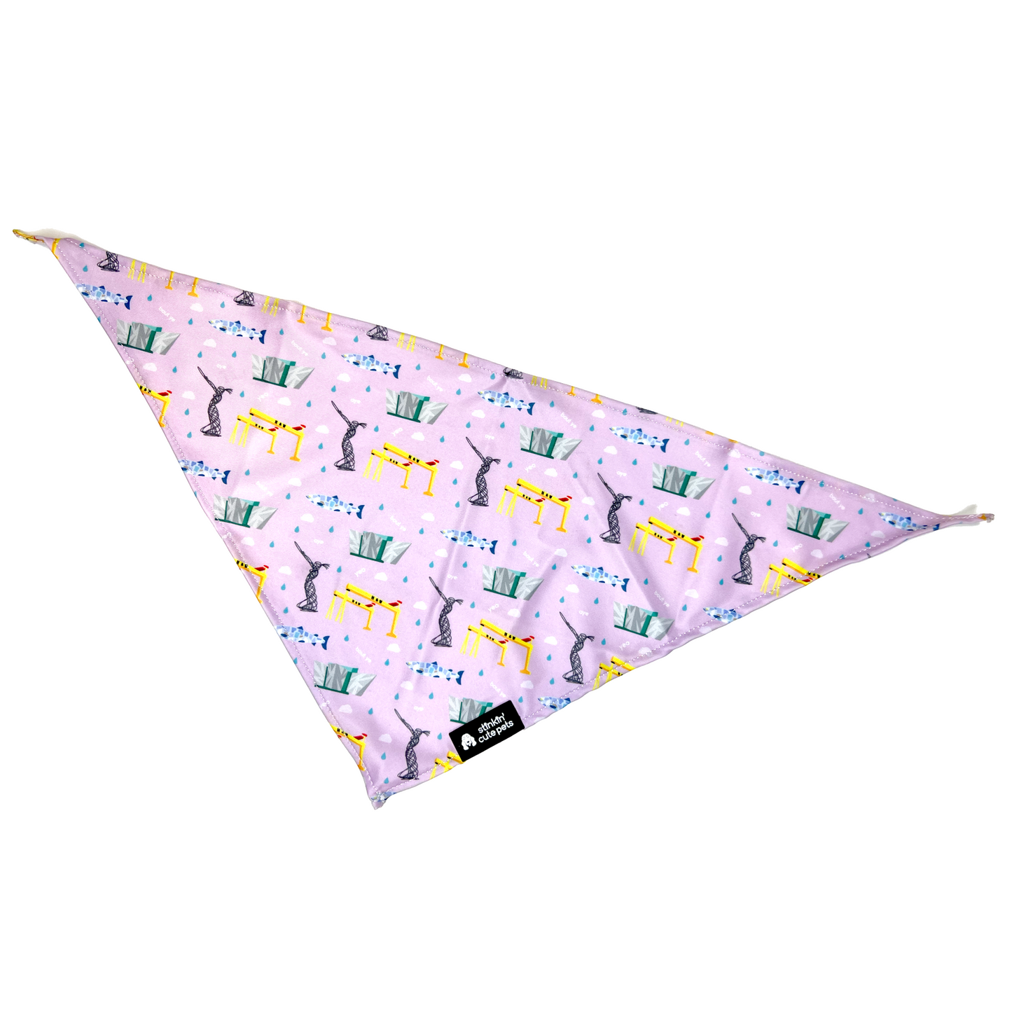 Belfast Pink Bandana