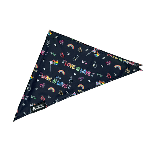 PRIDE Bandana