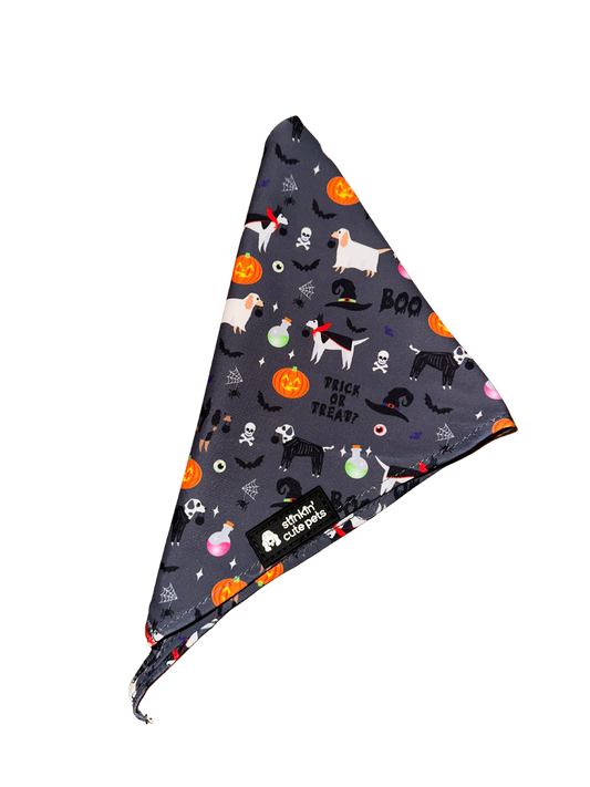 Hallowoof Bandana