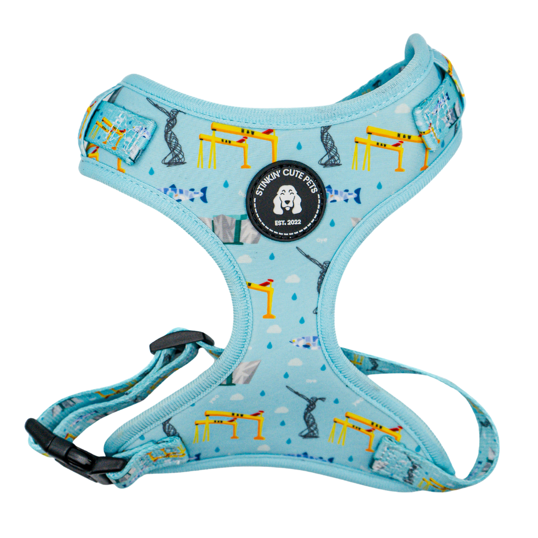 Belfast Eejit Harness (Adjustable) - Blue