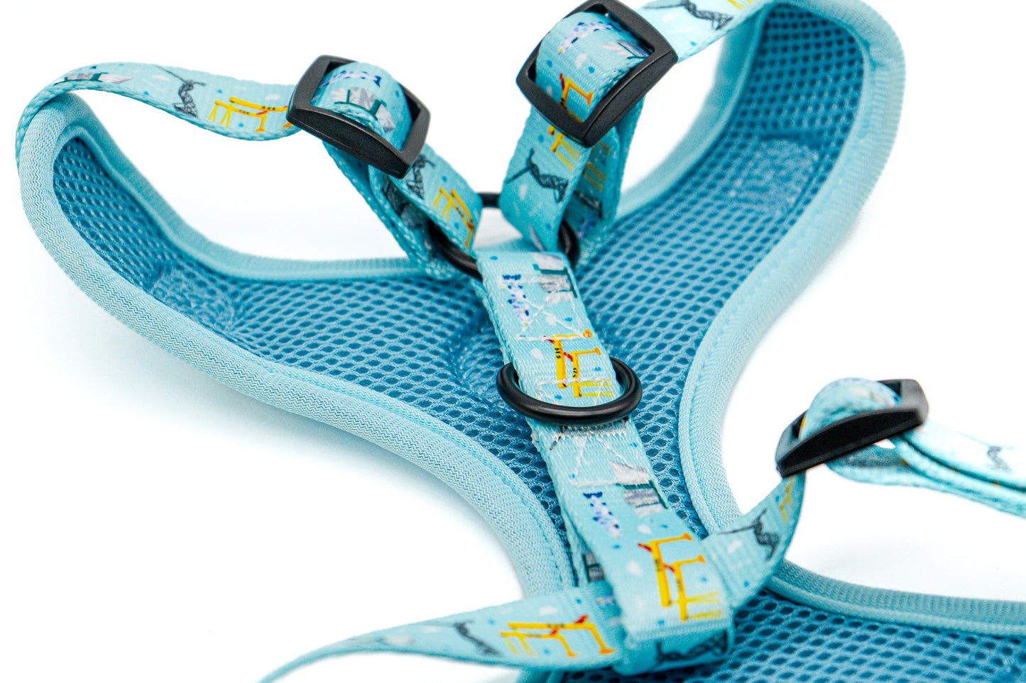 Belfast Eejit Harness (Adjustable) - Blue