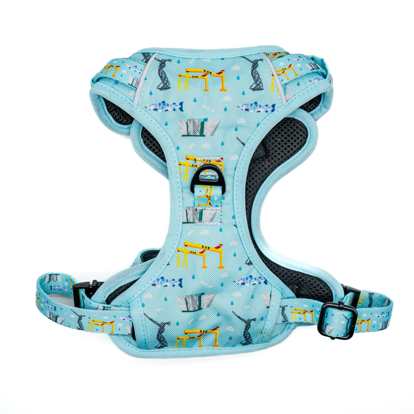 Belfast Hallion Harness (Adjustable) - Blue