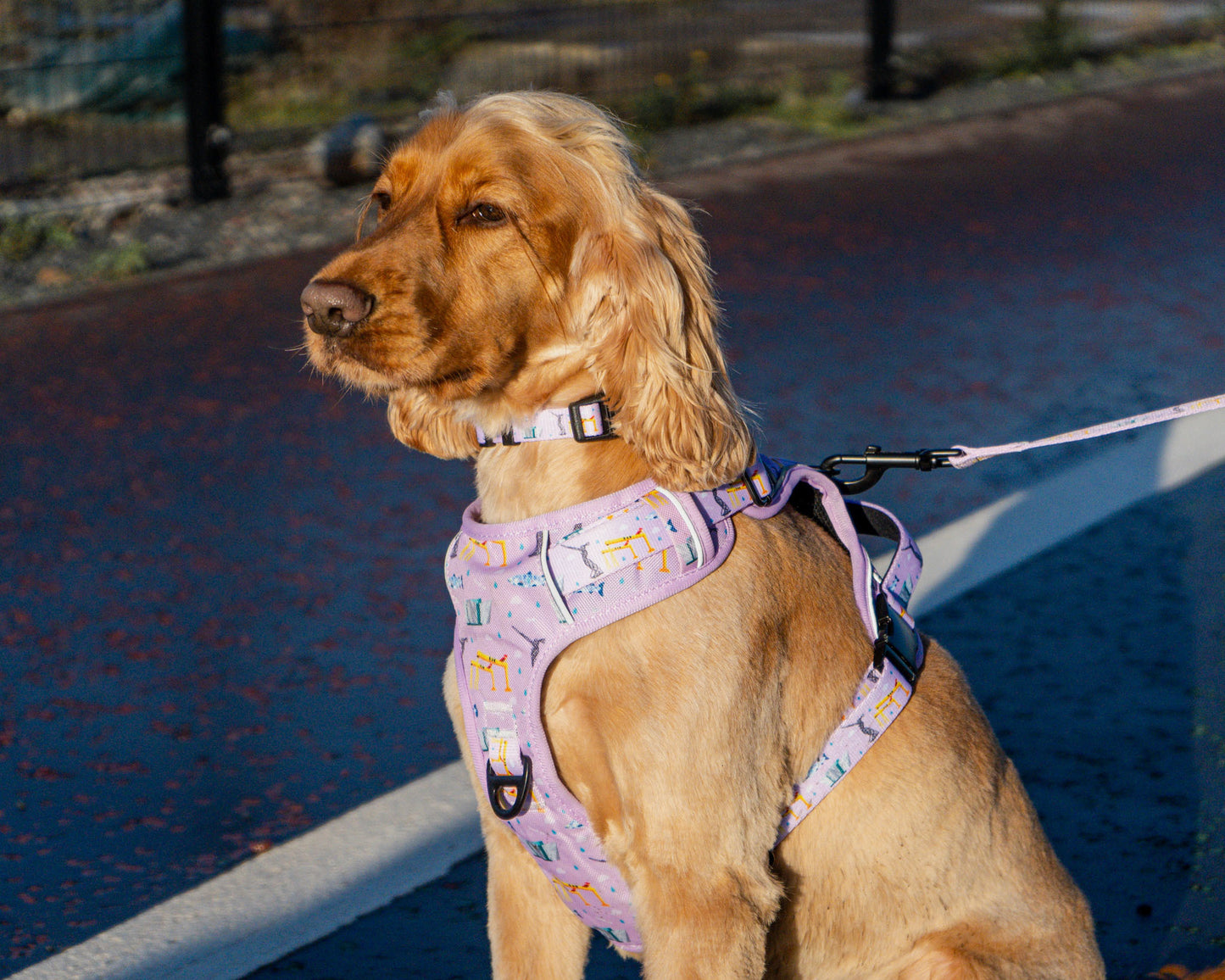 Belfast Hallion Harness (Adjustable) - Pink